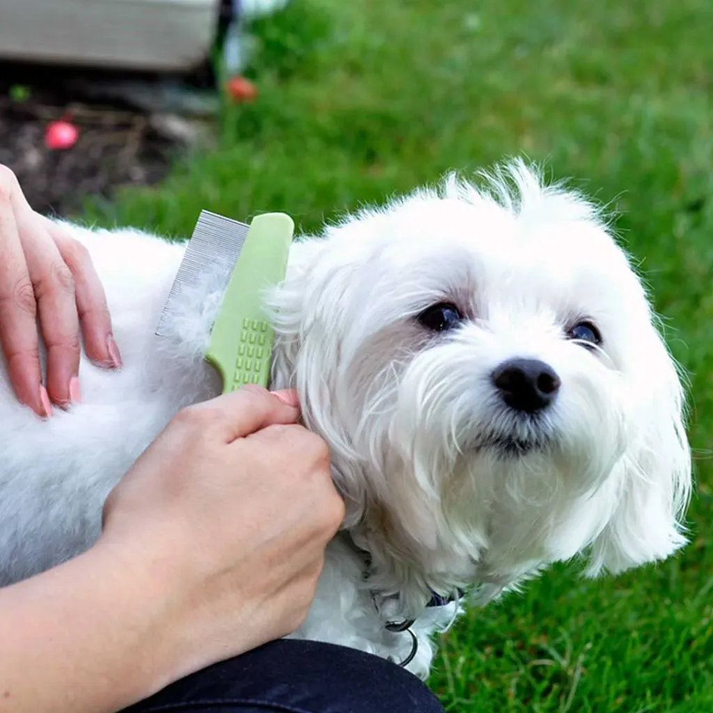 Safari Short Hair Flea Comb For Dogs