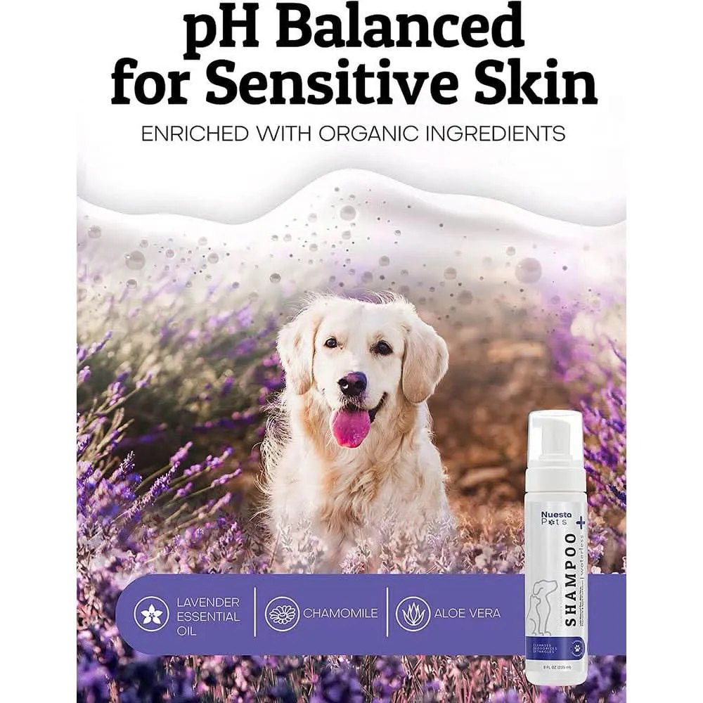 Waterless Lavender Shampoo for Dogs